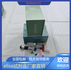 人蛋白激酶CζPKCζ elisa试剂盒 产品图片