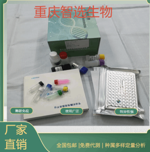 人前列腺素E合成酶PGES elisa试剂盒 产品图片