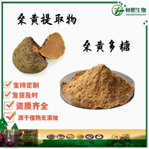 桑黄多糖30% 桑黄提取物 水溶桑黄粉 