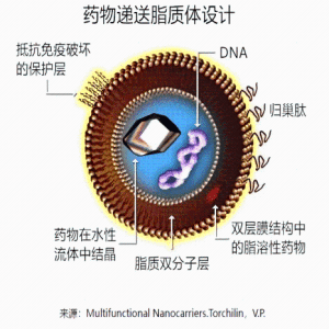Cy5標(biāo)記脂質(zhì)體/脂質(zhì)納米顆粒 