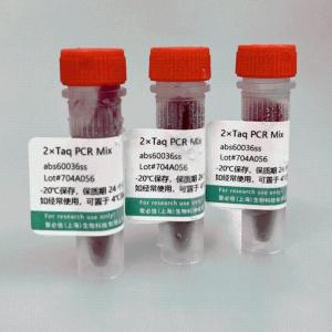 2×Taq PCR Mix 产品图片