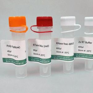 miRNA加尾法逆转录试剂盒 产品图片