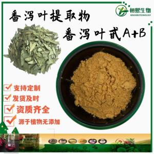 番泻叶提取物 番泻叶甙 番泻叶甙A+B 6%-30% 40% 番泻叶苷