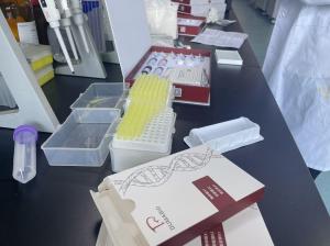 牛嗜酸性白血球相关之RNA水解酵素家族成员12(EAR12)ELISA试剂盒 产品图片