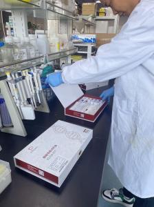 小鼠鞘氨醇1磷酸酯受体4(S1PR4) ELISA 试剂盒