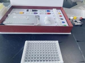 犬氨基端前脑钠素(NT-proBNP)ELISA试剂盒 产品图片