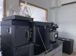 豚鼠解整合素金属蛋白酶9(ADAM9)酶联免疫试剂盒