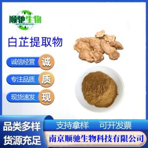 白芷提取物 高倍浓缩粉 喷雾干燥粉 全水溶无沉淀 质量稳定 可包邮试样