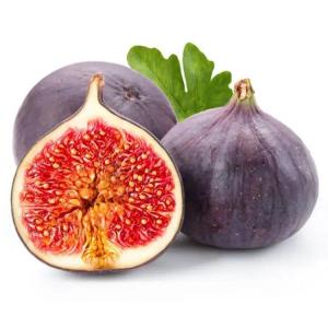 无花果提取物 斯诺特 喷雾干燥水提工艺 食品代餐粉原料