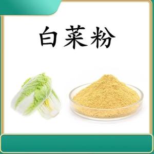 白菜粉 斯诺特生物 水溶性食品级原料 有小包装样品
