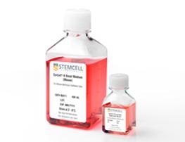 Stemcell05602	EpiCult-B 基礎培養(yǎng)基，100mL