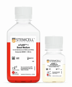 Stemcell05850	用于 hES 維護的 mTeSR1 完整套件