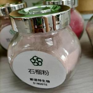 石榴粉 斯诺特生物 鲜果榨汁喷粉 食品饮料常用原料