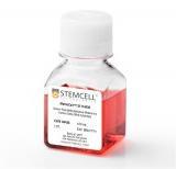 Stemcell04446	特殊 MethoCult SF H4436,24 x 3mL