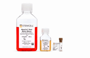 Stemcell05512	MesenCult 增殖試劑盒+MesenPure（M）