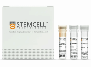 Stemcell   19644	EasySep 大鼠 B 細胞分離試劑盒