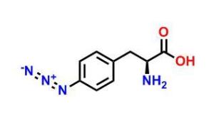 4-叠氮基-L-苯丙氨酸 CAS号:33173-53-4科研专用 常备现货 高校及研究所 先发后付