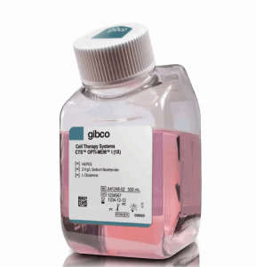 Gibco™CTS? Opti-MEM? I 培养基