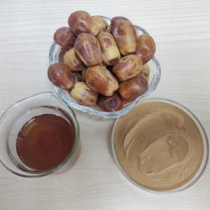 椰枣粉 椰枣提取物 斯诺特sc 现货包邮 波斯枣提取物