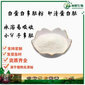 白蛋白多肽粉 卵清蛋白肽粉 98% 小分子活性肽 鸡卵清白蛋白 卵蛋白酶解物