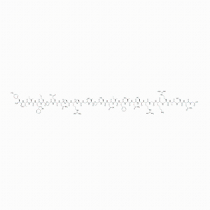 RVG29 脑靶向肽  狂quan病病毒肽 YTIWMPENPRPGTPCDIFTNSRGKRASNG