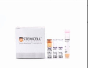 Stemcell 19848RF RoboSep小鼠 Pan-Na?ve T 細(xì)胞 Iso 試劑盒