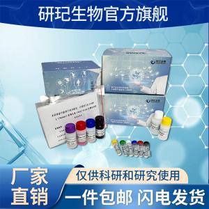 细菌铜蓝蛋白酶(CER)ELISA试剂盒