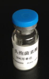 头孢菌素酶（5ml溶液） 产品图片