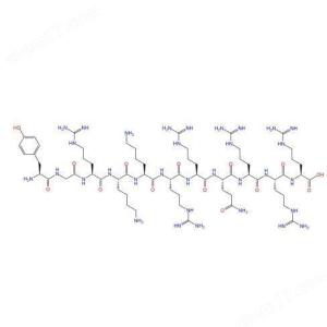 TAT 191936-91-1  靶向细胞穿膜肽 转录反式激活因子 HIV-1 tat Protein (47-57)