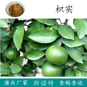 枳实提取物浓缩提取原料粉 一公斤起发货 斯诺特欢迎您来厂参观