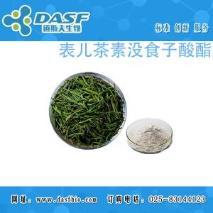 表儿茶素没食子酸酯