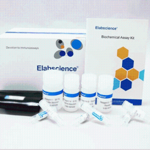 Elabscience公司试剂盒E-BC-K027-S现货