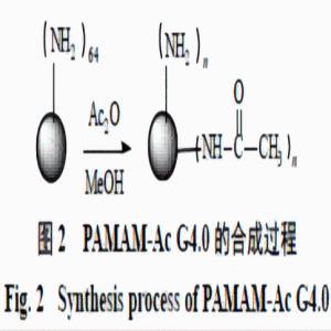 聚酰胺-胺树枝状大分子PAMAM包载药物白藜芦醇