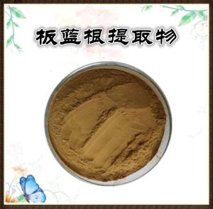 浓缩板蓝根提取物  