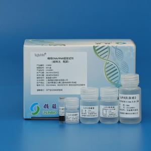 病毒DNA/RNA提取试剂（磁珠法、瓶装） 产品图片