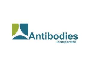 Antibodies Incorporated产品