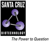 Santa Cruz Biotech产品