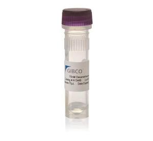 Gibco™，10 mM 的 DMSO 溶液