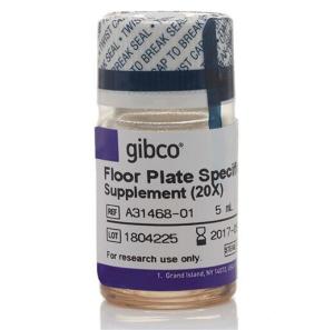 Gibco™人角質(zhì)形成細胞生長添加劑 (HKGS)