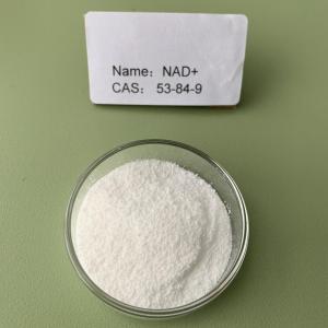 供应高纯度烟酰胺腺嘌呤二核苷酸粉末 产品图片