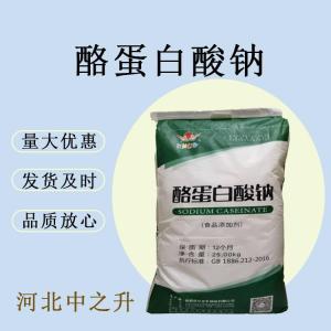酪蛋白酸鈉食品級烘焙原料乳制品肉制品蛋白飲料食用酪朊酸鈉