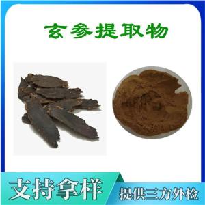 玄参提取物  水溶