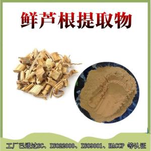 鲜芦根提取物  鲜芦根浓缩粉