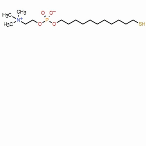 11-巰基酰基磷酰膽堿；CAS：276885-95-1