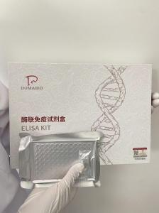 Francisella novicida新凶手弗朗西斯菌探针法荧光定量PCR试剂盒 产品图片