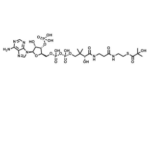 2-hydroxyisobutyryl-CoA；CAS：1383119-39-8，助力科研，優(yōu)勢(shì)供應(yīng)，高校及研究所，先發(fā)后付，質(zhì)量保證！