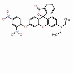 Spiro[isobenzofuran-1(3H),9'-[9H]xanthen]-3-one, 3'-(diethylamino)-6'-(2,4-dinitrophenoxy)-；CAS：1417442-89-7（大小包裝均可、質(zhì)量保證，助力科研， 高校及研究所支持貨到付款）