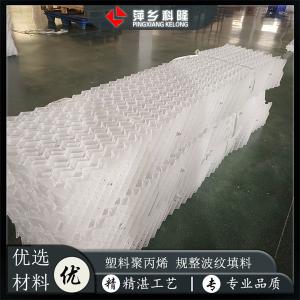 PP CPVC PVC PTFE材質規(guī)整波紋 用于環(huán)保水處理廢氣凈化