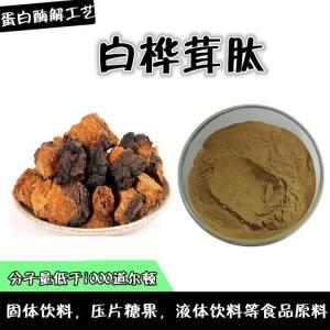 白桦茸肽   白桦茸小分子肽