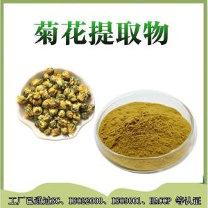 菊花提取物 菊花浸膏  精选原料   品质上乘